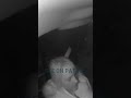 BODYCAM: Driver Demands Another Chance for Learning