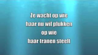 Ann Christy - De roos lyrics by Marijke Goris 706,629 views 14 years ago 3 minutes, 50 seconds