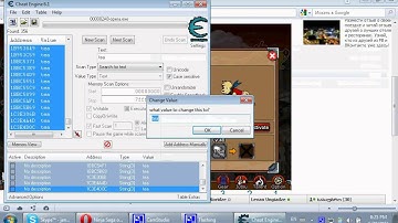ninja saga pet name hack 2011