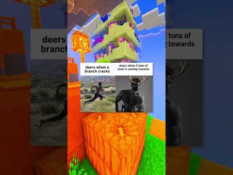 Animal Memes with Music thumbnail