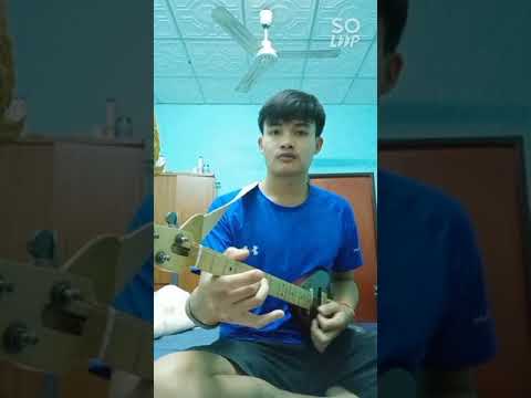ลาย เต้ยผสม
