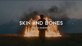 Skin and Bones - David Kushner (Terjemahan Indonesia   Lirik)