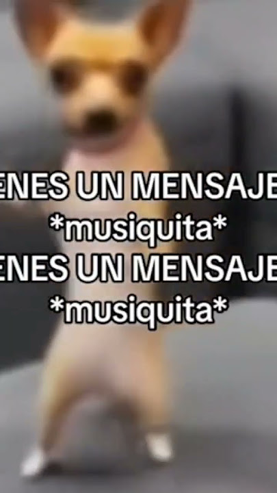 Tienes un mensaje *música* #meme #xd #2024