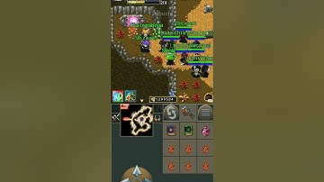 TibiaMe W34 "Lunáticos VS Brazukas" (PANIC 😆)