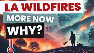 Why Wildfires in LA Are Getting Worse: Causes, Challenges, and How We Can Stop Them