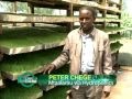 KILIMO BIASHARA