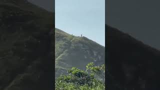 The trend video on Reddit  for 2 giant creatures, who were 10 foot long.