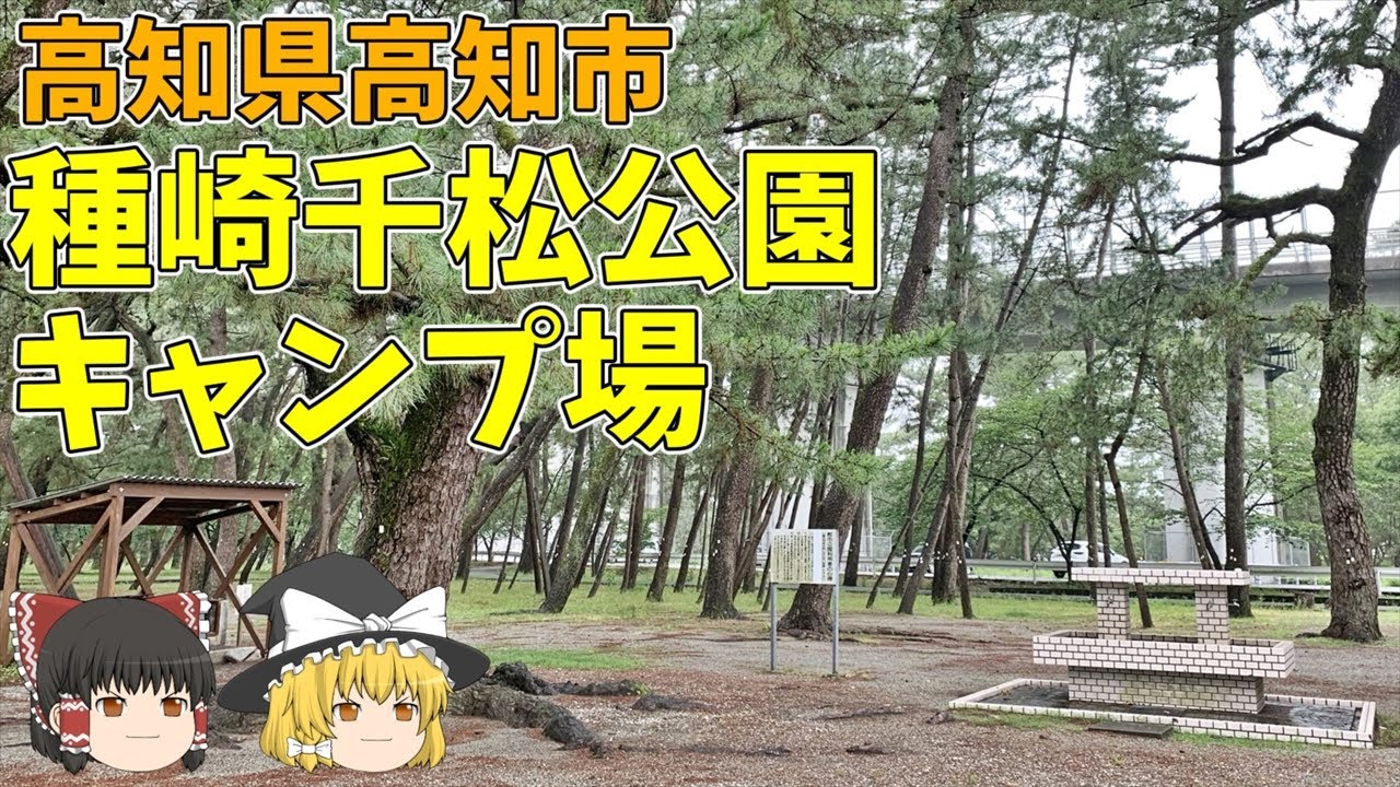 種崎 千松 公園 キャンプ 場