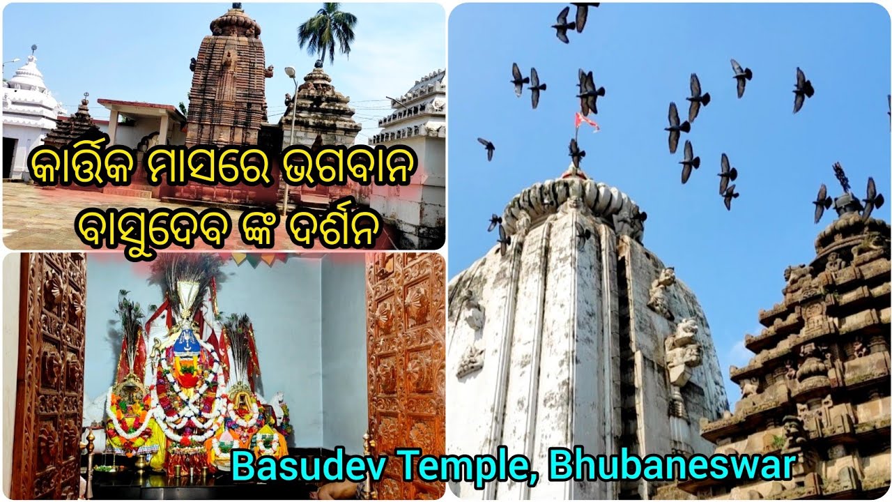 Basudev Temple ll କାର୍ତ୍ତିକ ମାସରେ ଭଗବାନ ବାସୁଦେବ ଙ୍କ ଦର୍ଶନ କରନ୍ତୁ ll Unknown Facts ll ତାଳ ପୋଥି ଭାଗବତ