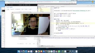 Face Detection with Python screenshot 4