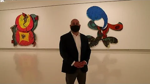 UB Anderson Gallery Director Robert Scalise and th...