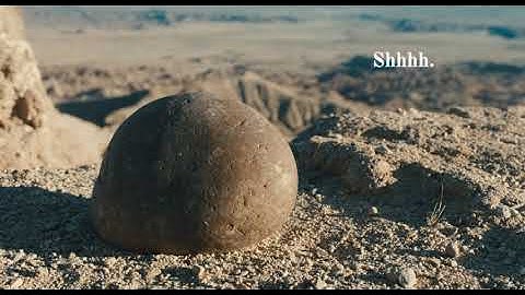 The Rock Scene | Everything, Everywhere, All At Once