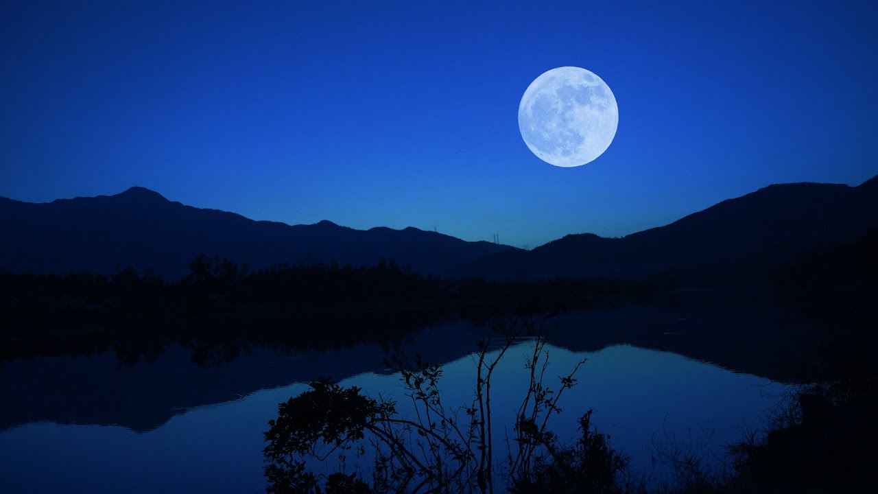 Crickets & Frogs by the Moonlit Lake | Night Ambient Sounds for Deep Sleep & Relaxation