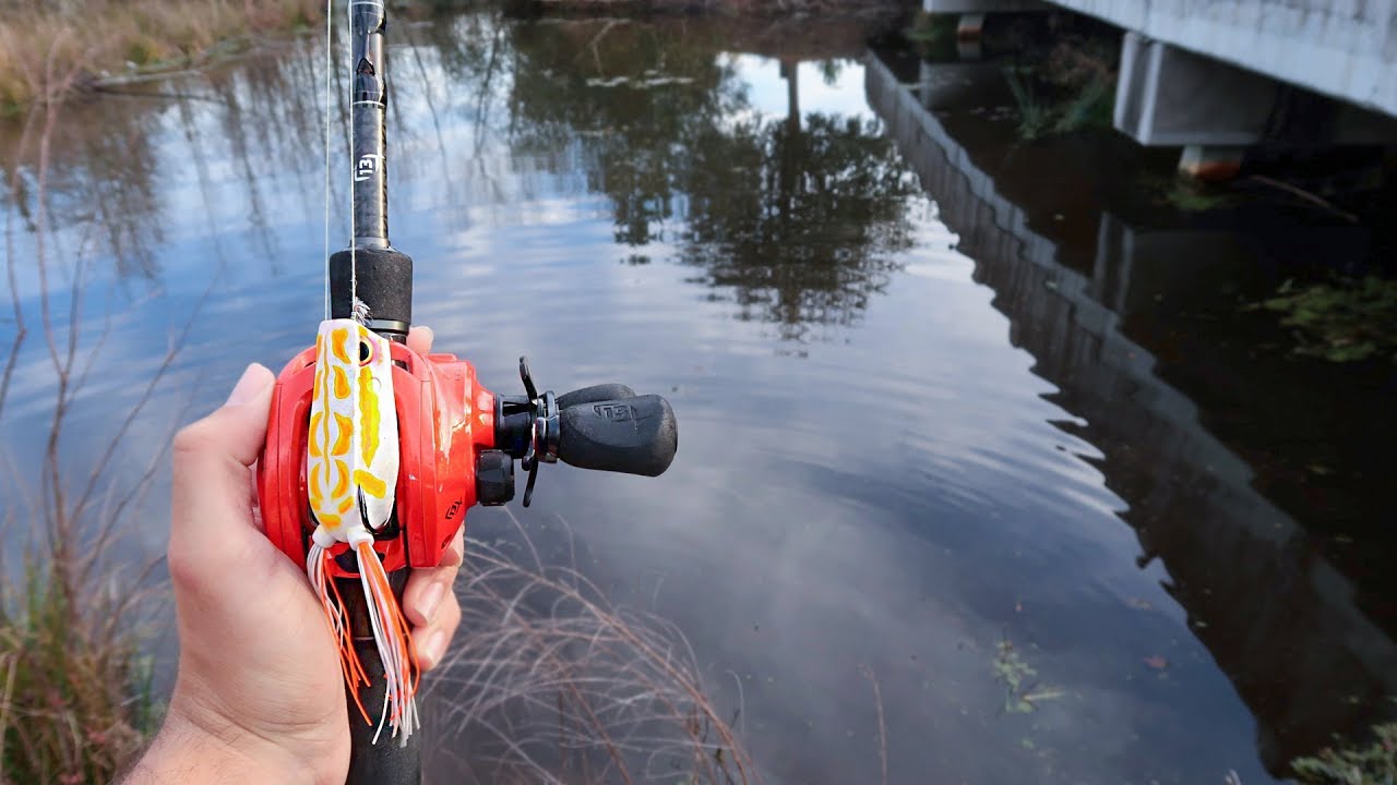 MASSIVE Bass CRUSHES Topwater FROG (Bed Fishing)