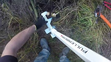 pullerbear vs extractigator