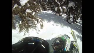 summit 800etec
