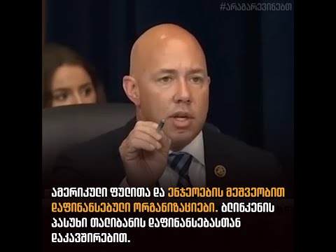 ამერიკული ფულითა და ენჯეოების მეშვეობით დაფინანსებული ორგანიზაციები.