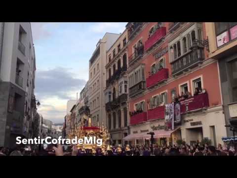 Excelentísima, Muy Ilustre y Venerable Hermandad y Cofradía de Nazarenos de Nuestro Padre Jesús de la Columna y María Santísima de la O