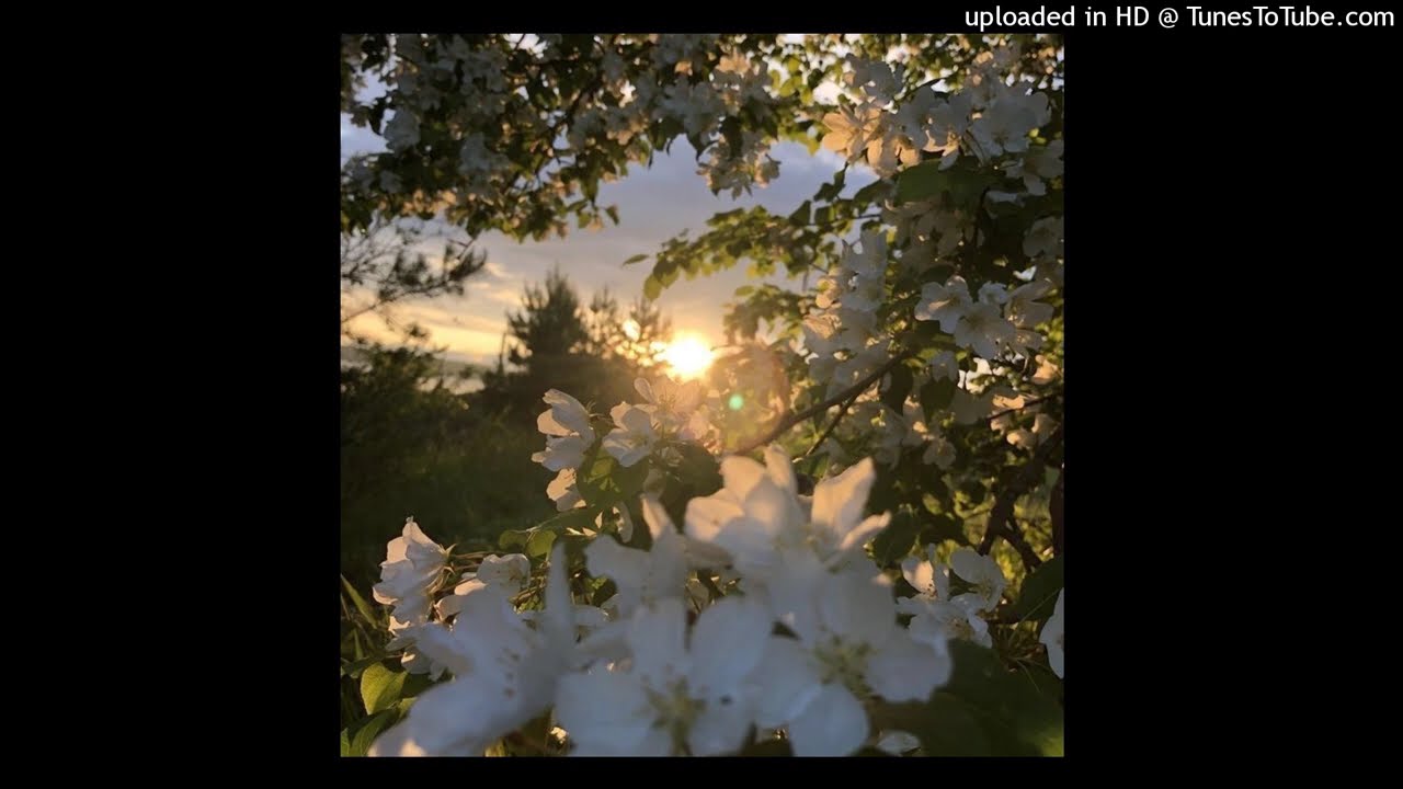 nettspend ok protect type beat - mask