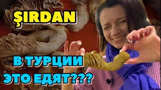 Как Я Решилась Это Съесть??? Ширдан. Турецкая Уличная Еда #4