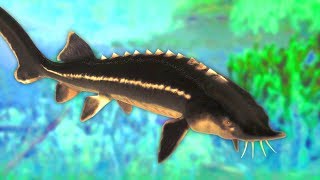 Catching Huge Prehistoric Dinosaur Fish in The Fisherman Fishing Planet screenshot 5