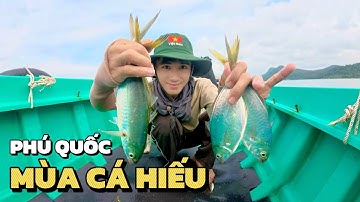 Câu cá Phú Quốc ( phần 2 ) - ra khơi săn cá Hiếu, thành quả khiến ai xem cũng bất ngờ !