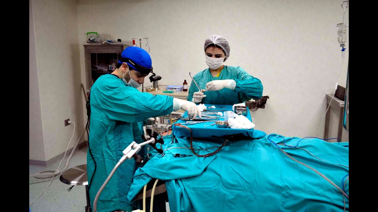 Rzayev Rufat. Хронический тонзиллит и аденоидные разращения (тонзилл-и ...