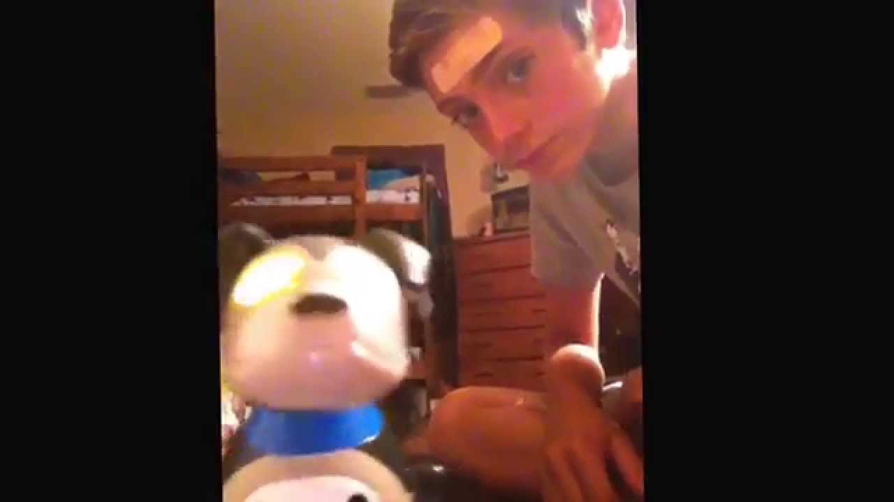 Zoomer 2.0 Shadow Robot Dog Unboxing