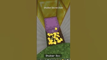Shulker Secret Door!