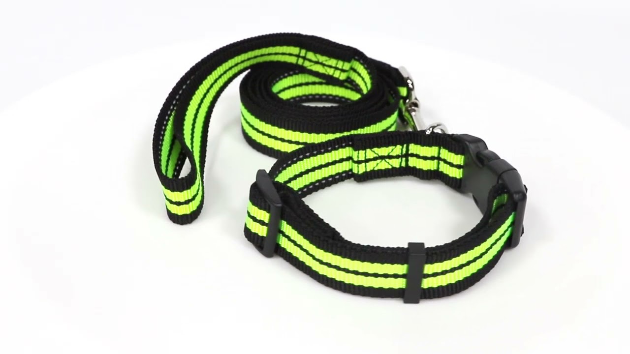 Reflective Fluorescent Pet Collar