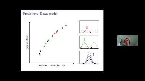 DFT Summer School 2020 - Drift in neural populations and working memory