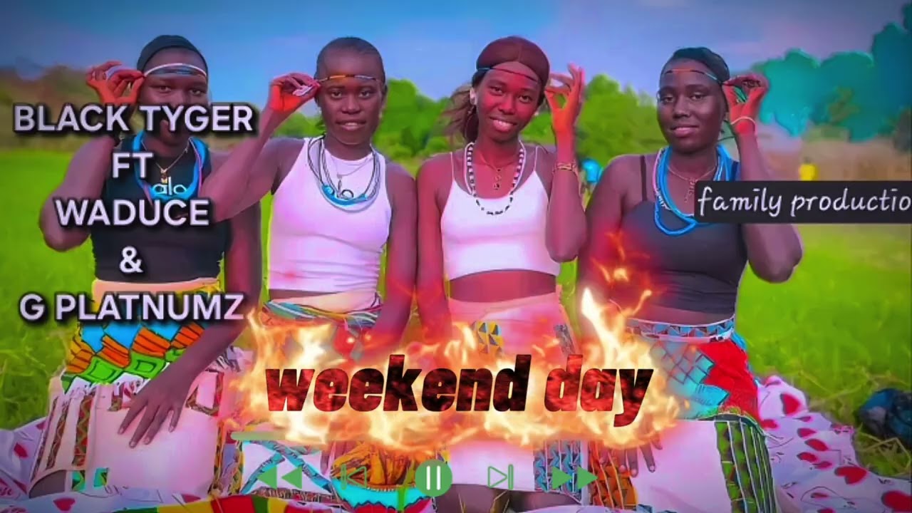 Black Tiger_G platnumz_&_Waduce_-_Weekend Day(office audio)