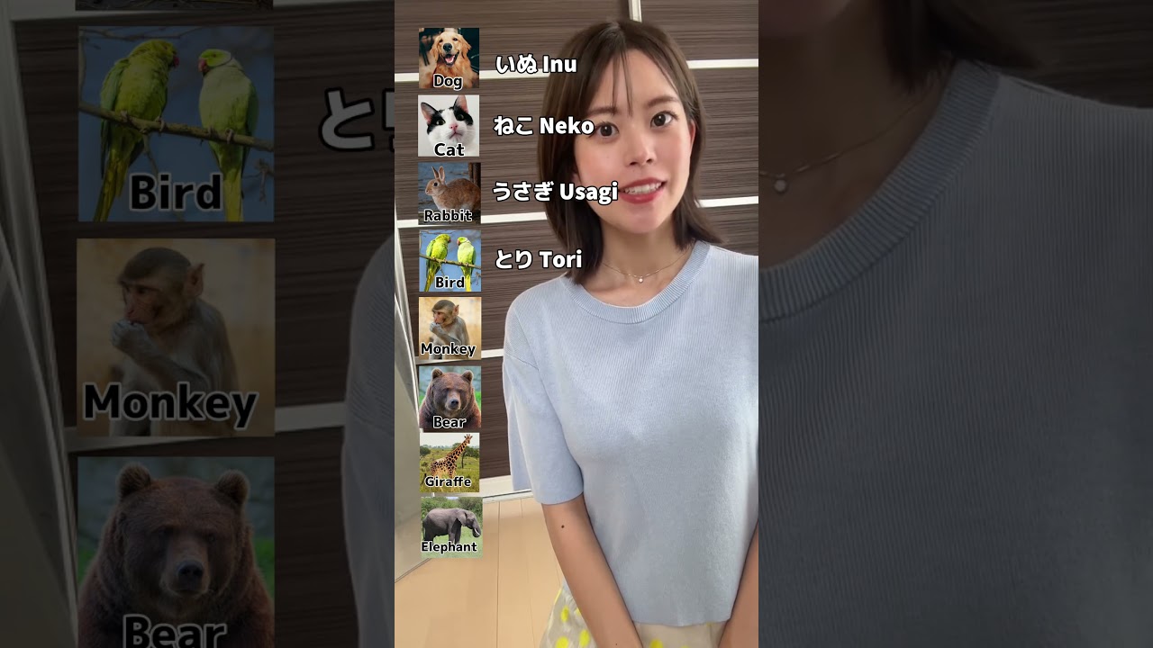 How many did you know? #japan #studyjapanese #jlpt