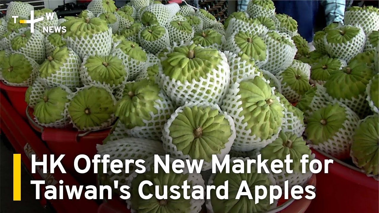Hong Kong the New Market for Taiwan's Custard Apples After China Ban | TaiwanPlus News