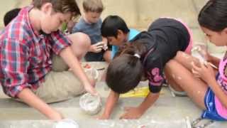 Hearst Elementary Mosaic