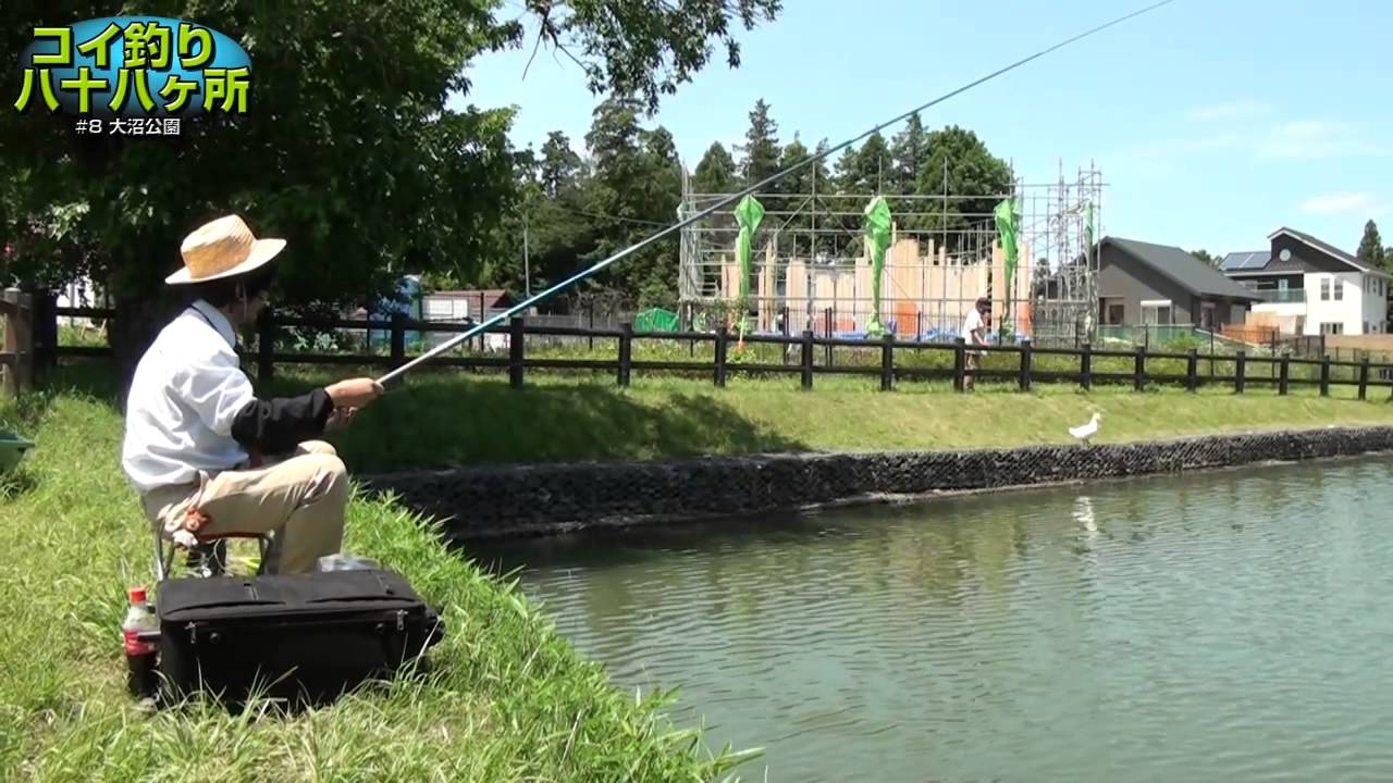 コイ釣り八十八ヶ所 8 埼玉県 大沼公園 Youtube