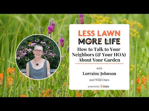 How to Talk to Your Neighbors (& HOA) About Your Garden | Lorraine Johnson & Wild Ones [WEBINAR]