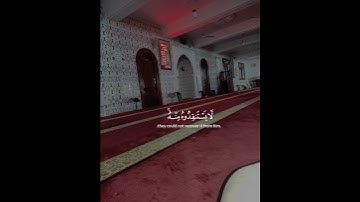 سورة الحج | الآية 73 - 76 القارئ : ياسر الدوسري