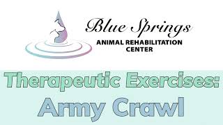 Canine Therapeutic Exercises: Army Crawl
