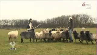 "ServusTV" - how to start herding