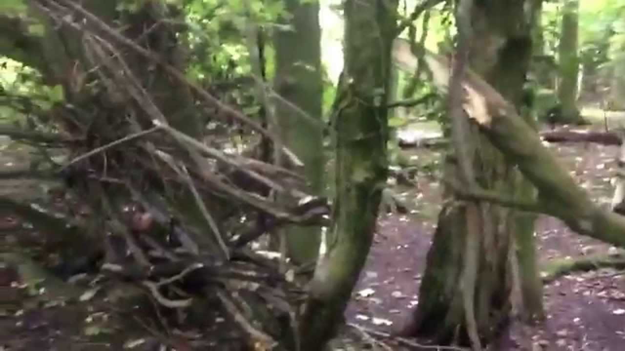 Survival tactics season 1 episode 1