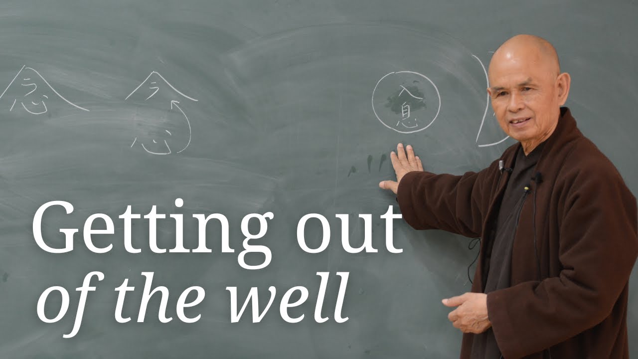Getting Out of the Well | Teaching by Thich Nhat Hanh