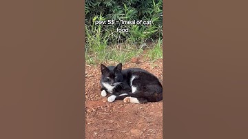 Every bit of your support counts Click on the links in our bio to donate for any support#viral #help