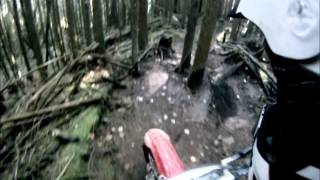 McNutt - Blue Mountain - Black Flies Trail Oct2013