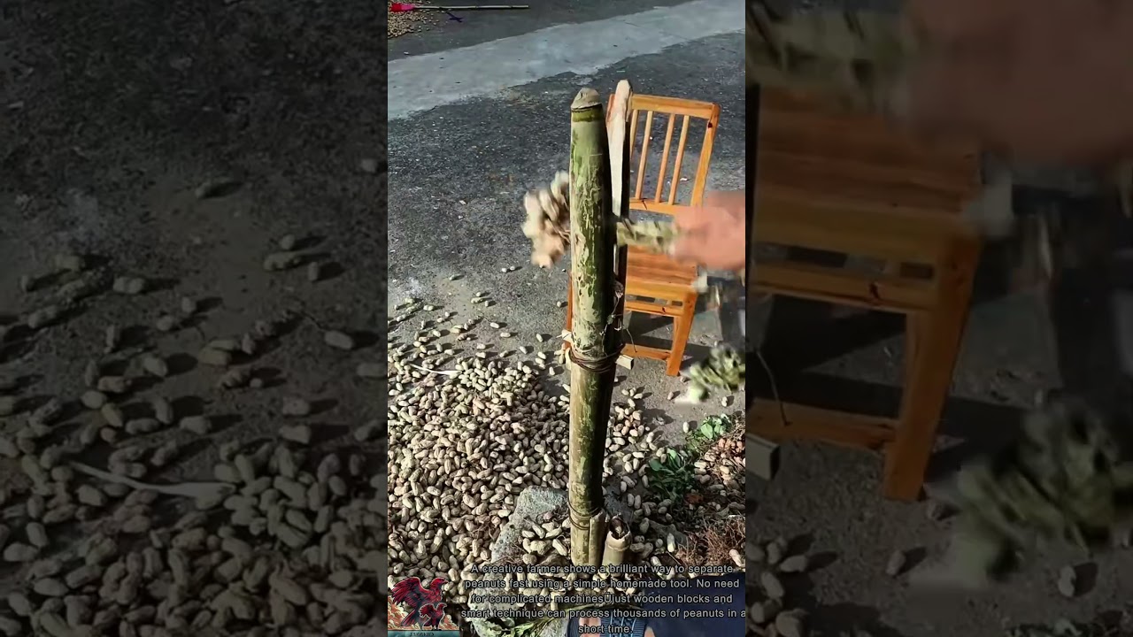 Super Fast Peanut Separation II Innovative Tools