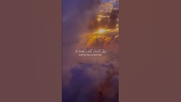 #(افلا ينظرون إلى الابل كيف خلقت)؟تلاوة خاشعة