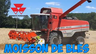 MOISSON DU BLES 2016 - MASSEY FERGUSON 7260 [1080p]