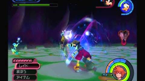 KHFM - Lv55 End of The World Heartless Wave No Damage