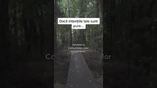 #citate #citate pentru suflet #citate si sentimente #citatemotivationale #citate de suflet #foryou #citate #citate pentru suflet #citate si sentimente #citatemotivationale #citate de suflet #foryou