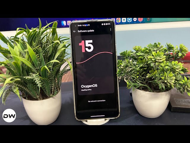 OnePlus 9 中国版（LE2110）OxygenOS 初期化済み OnePlus 9 中国版